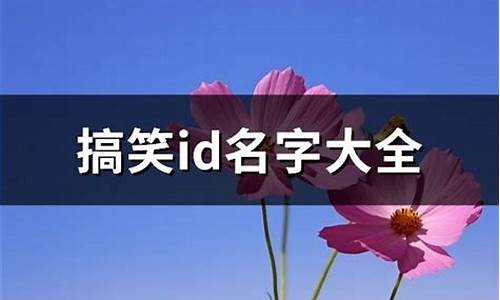 有趣的id名字大全经典游戏id_有趣的id名字大全经典游戏ID